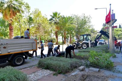 BORNOVA SAKURA VE TARÇIN KOKACAK