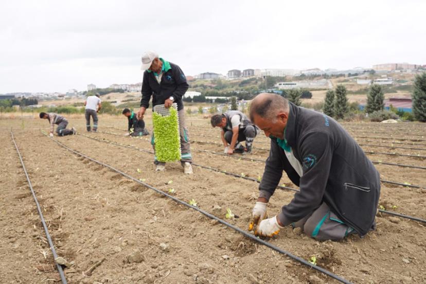 YAŞAM BAHÇESİ’NDE KIŞLIK FİDELER TOPRAKLA BULUŞTU