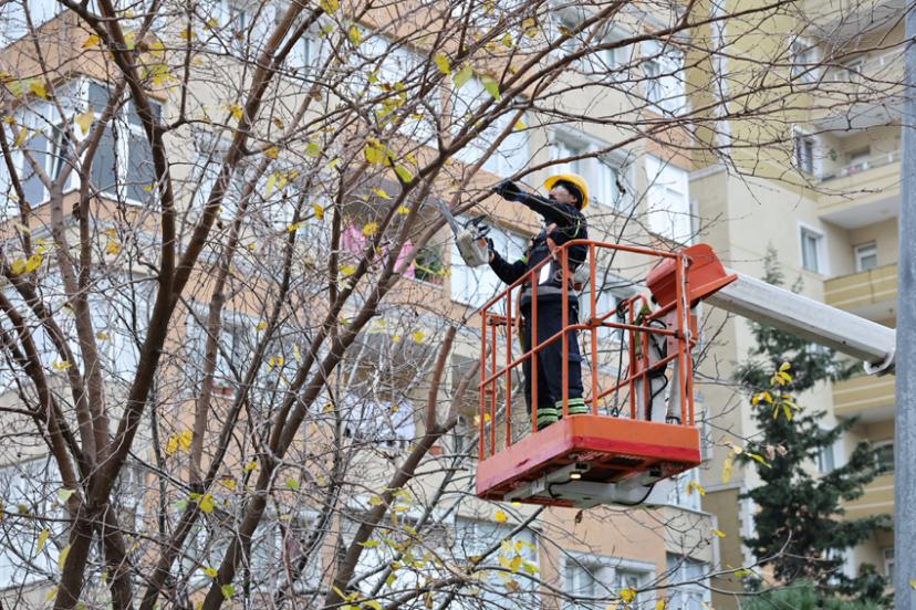 KÜÇÜKÇEKMECE'DE BUDANAN AĞAÇLAR, İHTİYAÇ SAHİPLERİNE YAKACAK OLUYOR