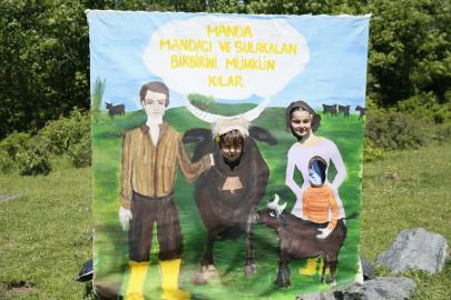 AĞAÇLI KÖYÜ’NDE MANDA FESTİVALİ COŞKUSU