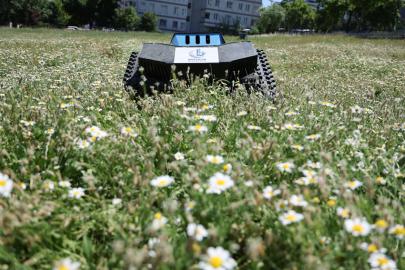 BAĞCILAR'DA ÇİM BİÇEN ROBOT DÖNEMİ