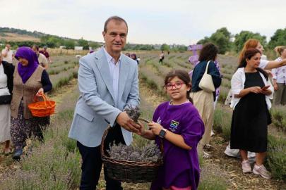 BÜYÜKÇEKMECE’DE LAVANTA HASADI BAŞLADI